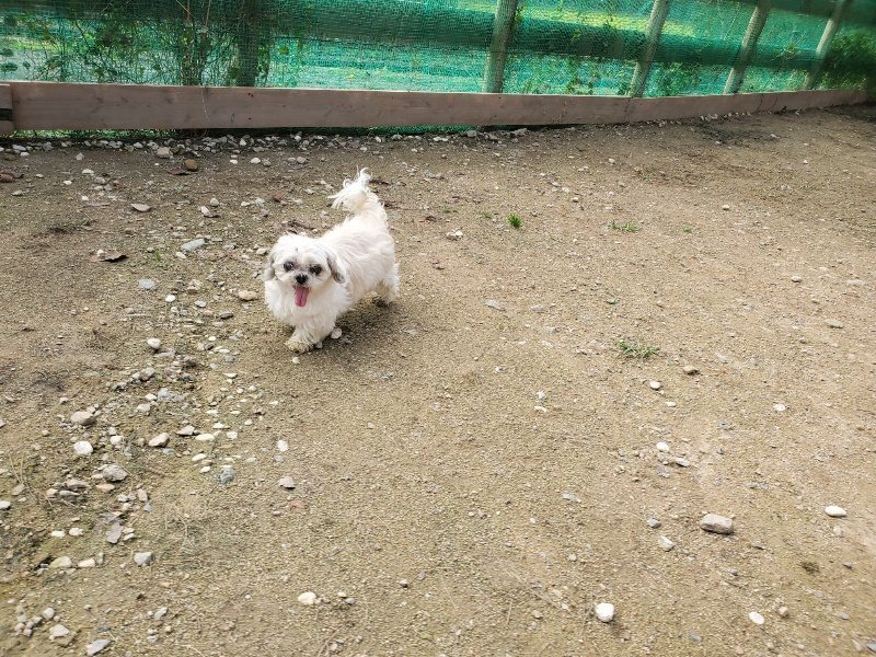 f:id:roukenhome-ann:20191028074117j:plain