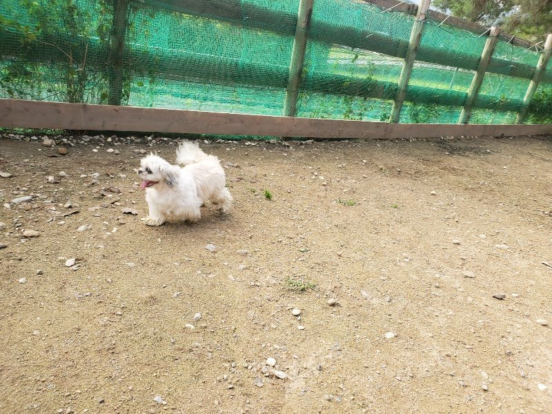 f:id:roukenhome-ann:20191028074126j:plain