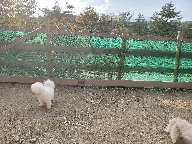 f:id:roukenhome-ann:20191028074222j:plain