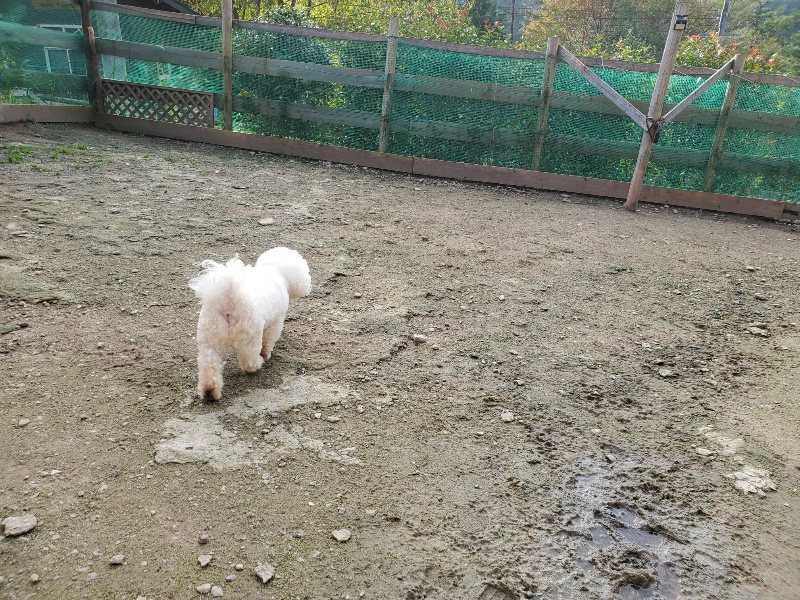 f:id:roukenhome-ann:20191028074231j:plain