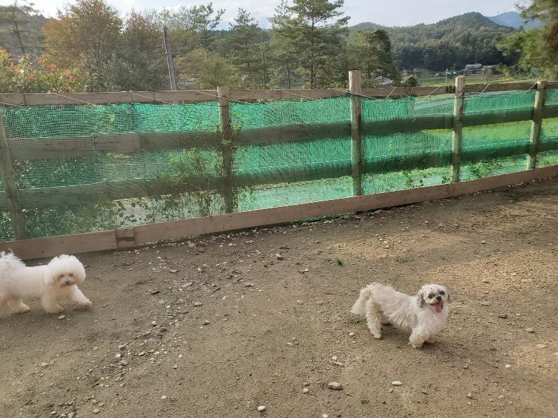 f:id:roukenhome-ann:20191028074241j:plain