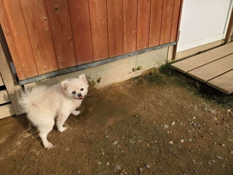 f:id:roukenhome-ann:20191028074305j:plain