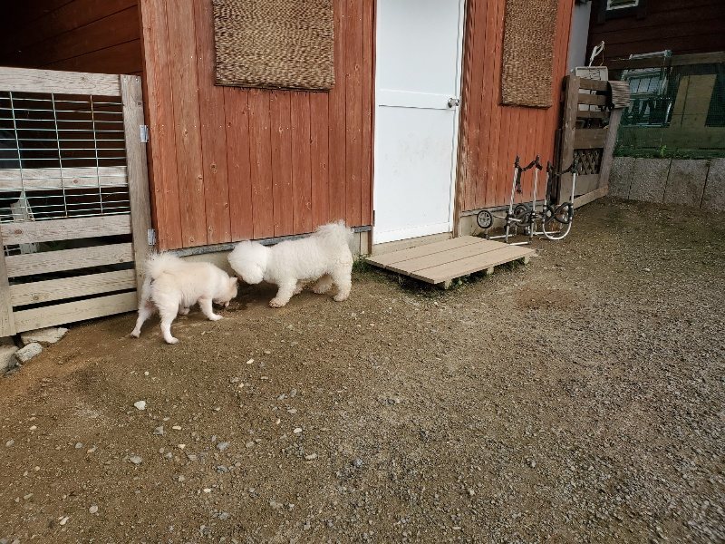 f:id:roukenhome-ann:20191028074313j:plain
