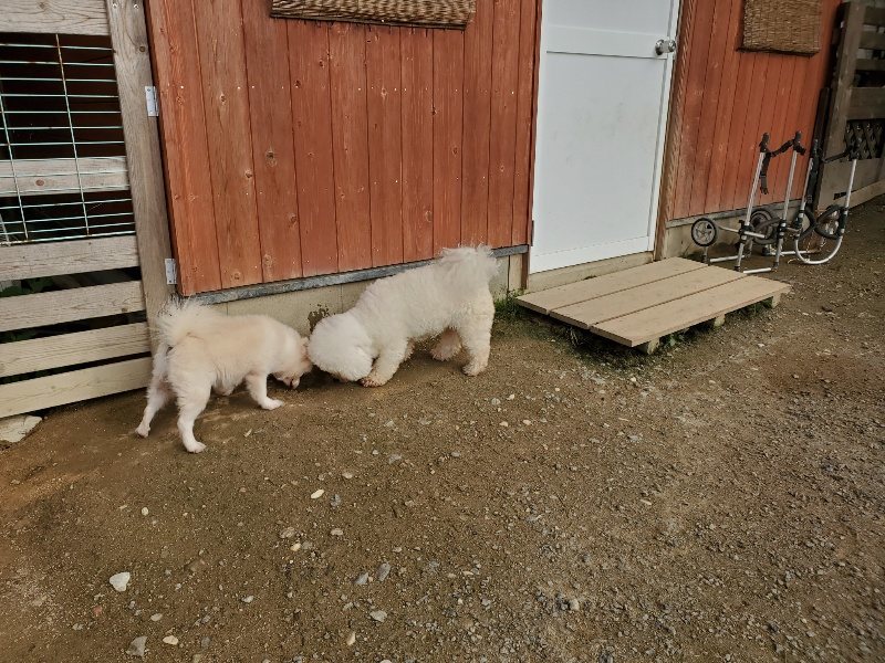 f:id:roukenhome-ann:20191028074323j:plain