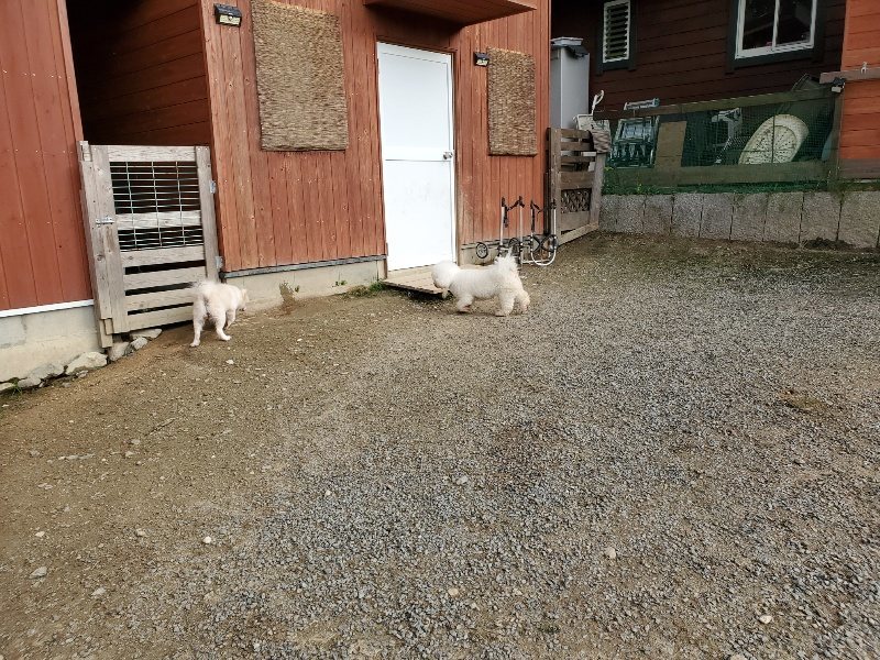 f:id:roukenhome-ann:20191028074336j:plain