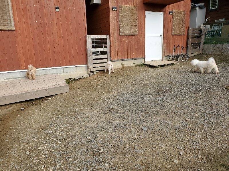 f:id:roukenhome-ann:20191028074344j:plain