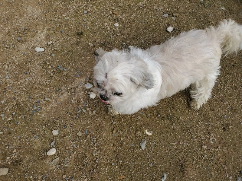 f:id:roukenhome-ann:20191028074402j:plain