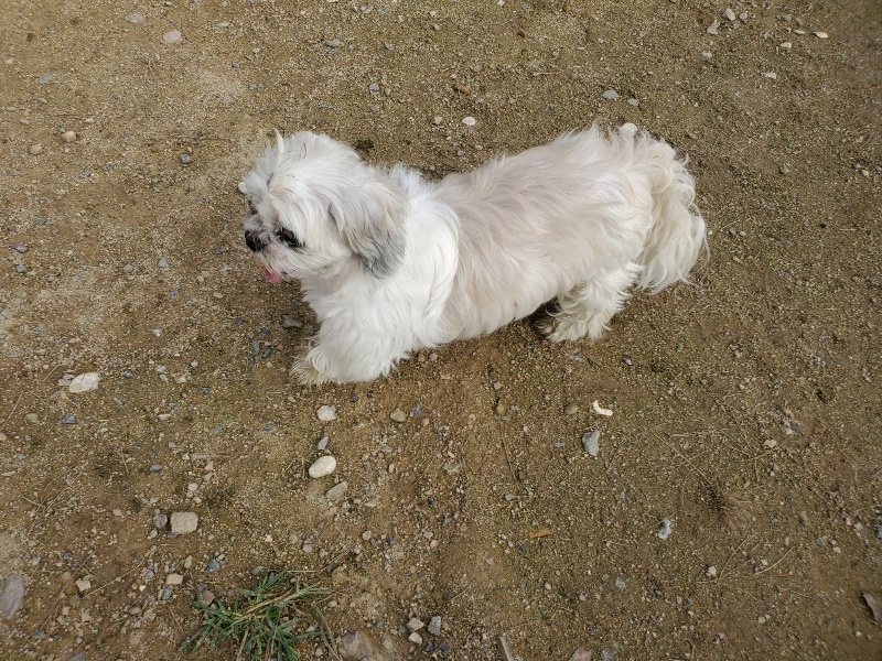 f:id:roukenhome-ann:20191028074412j:plain