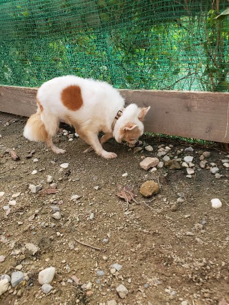 f:id:roukenhome-ann:20191028074417j:plain