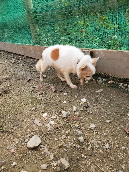 f:id:roukenhome-ann:20191028074427j:plain