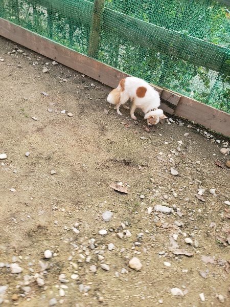 f:id:roukenhome-ann:20191028074434j:plain