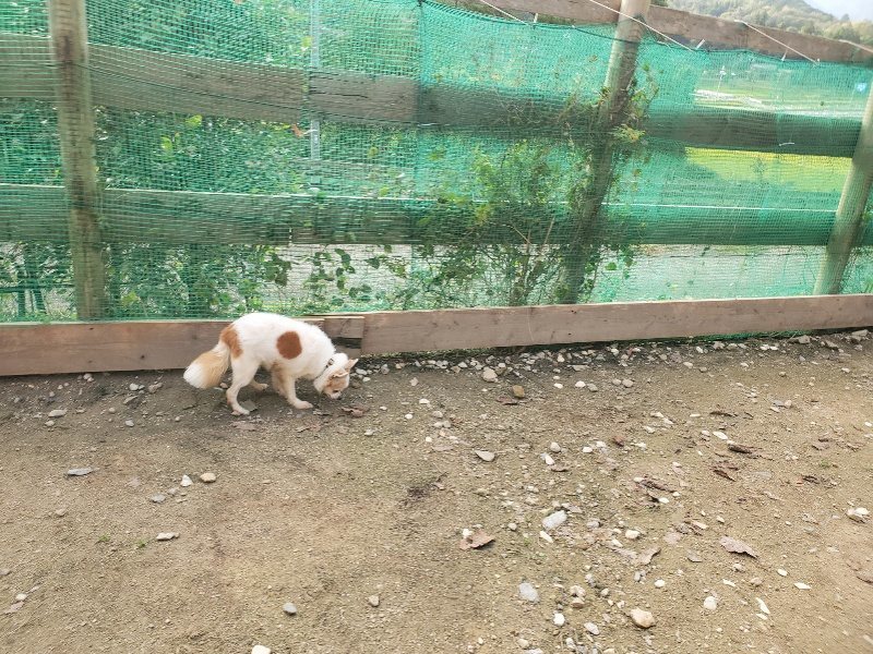 f:id:roukenhome-ann:20191028074446j:plain