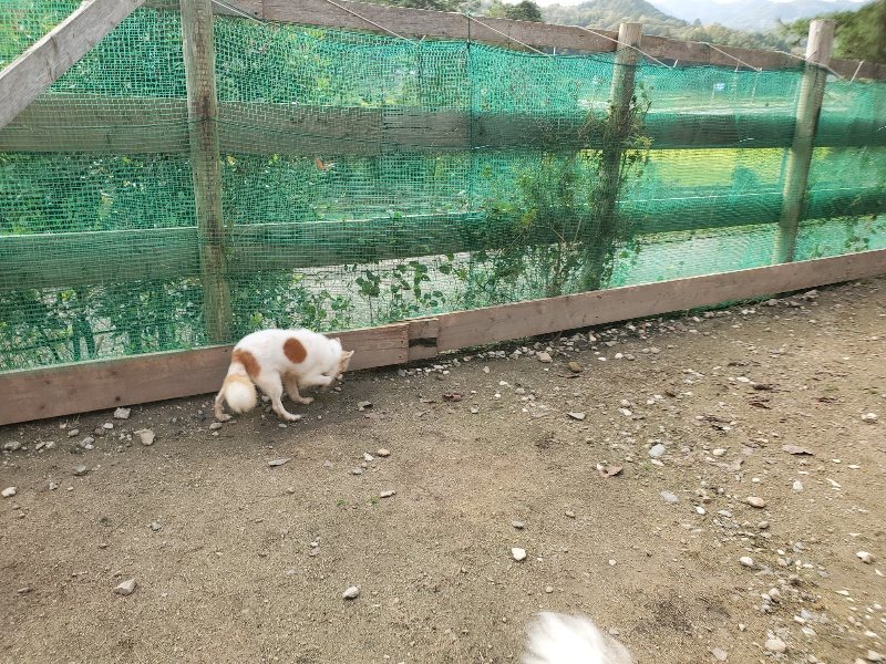 f:id:roukenhome-ann:20191028074506j:plain