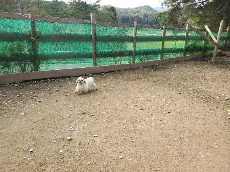 f:id:roukenhome-ann:20191028074909j:plain