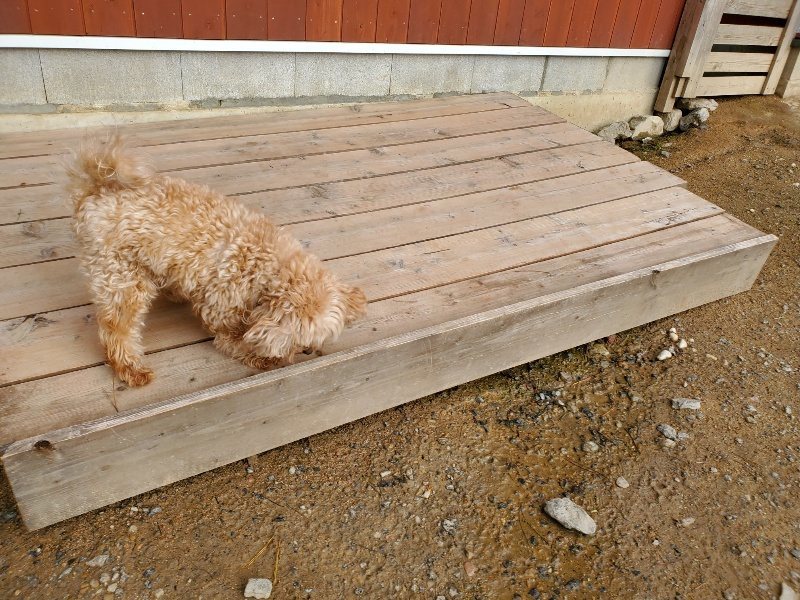 f:id:roukenhome-ann:20191028074914j:plain