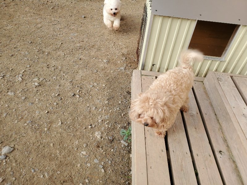 f:id:roukenhome-ann:20191028074943j:plain