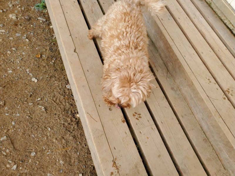 f:id:roukenhome-ann:20191028074952j:plain