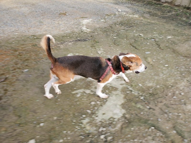 f:id:roukenhome-ann:20191028075000j:plain
