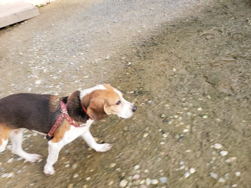 f:id:roukenhome-ann:20191028075013j:plain