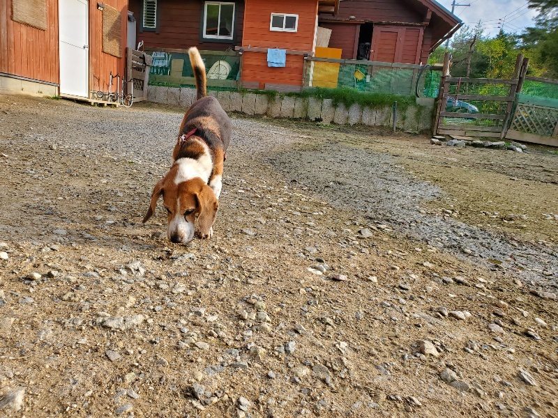f:id:roukenhome-ann:20191028075035j:plain