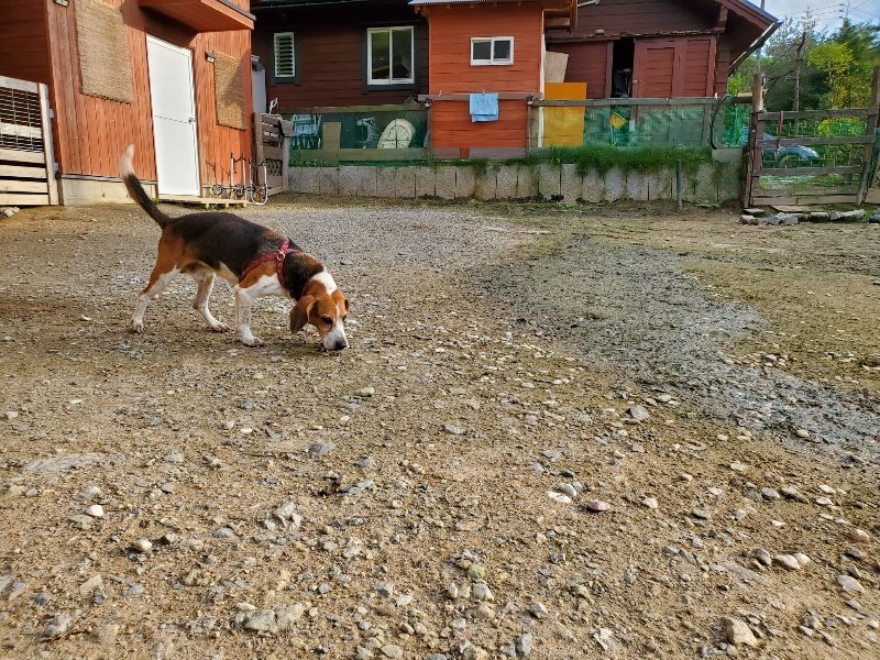 f:id:roukenhome-ann:20191028075045j:plain