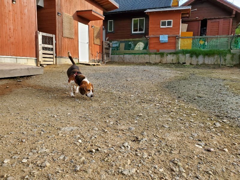 f:id:roukenhome-ann:20191028075053j:plain