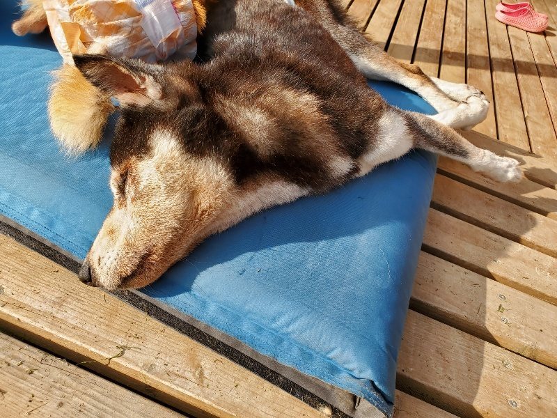 f:id:roukenhome-ann:20191028075217j:plain