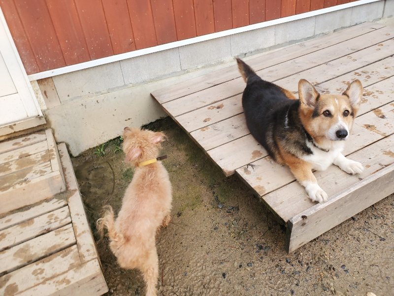 f:id:roukenhome-ann:20191029185111j:plain f:id:roukenhome-ann:20191029185111j:plain