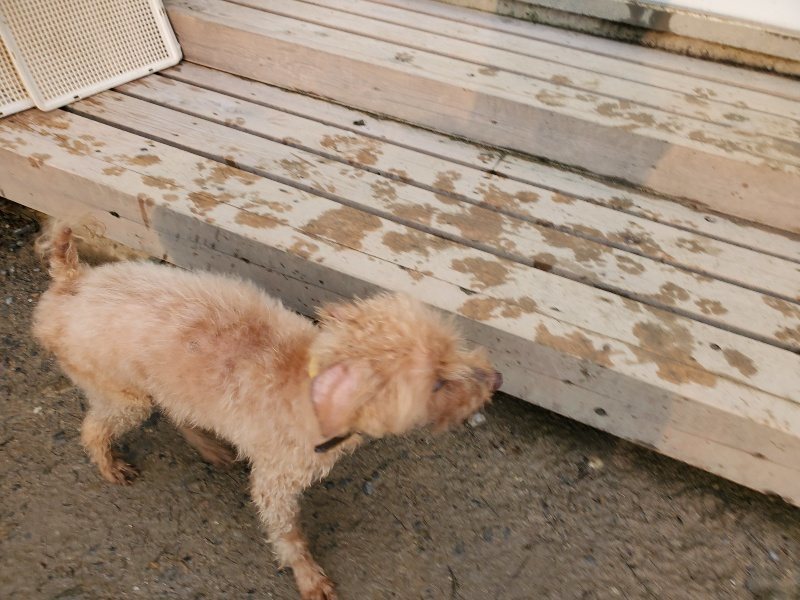 f:id:roukenhome-ann:20191029185117j:plain f:id:roukenhome-ann:20191029185117j:plain