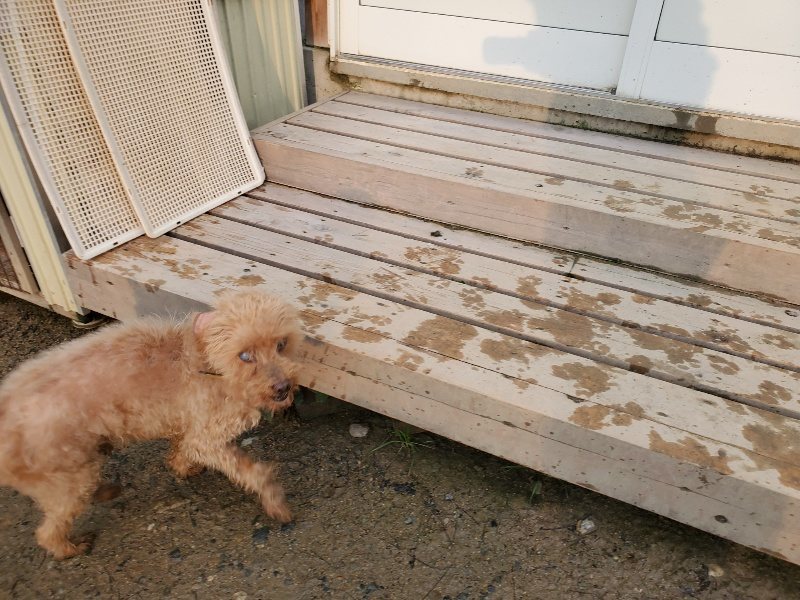 f:id:roukenhome-ann:20191029185133j:plain f:id:roukenhome-ann:20191029185133j:plain