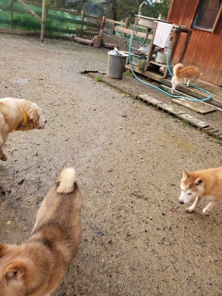 f:id:roukenhome-ann:20191029185210j:plain f:id:roukenhome-ann:20191029185210j:plain