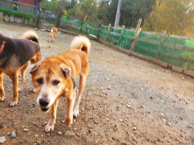 f:id:roukenhome-ann:20191029185220j:plain f:id:roukenhome-ann:20191029185220j:plain