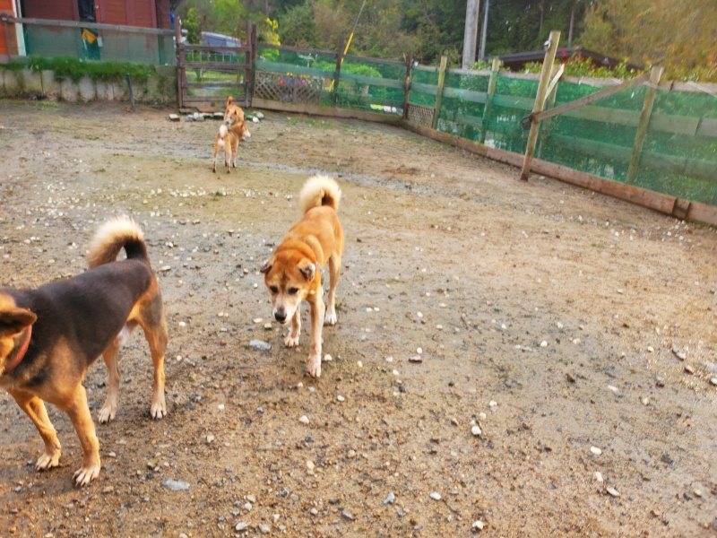 f:id:roukenhome-ann:20191029185228j:plain f:id:roukenhome-ann:20191029185228j:plain