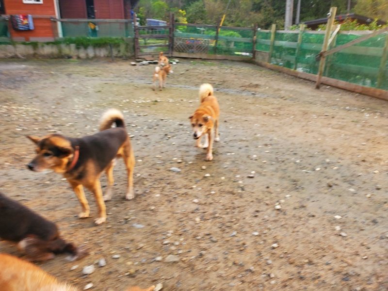 f:id:roukenhome-ann:20191029185256j:plain f:id:roukenhome-ann:20191029185256j:plain