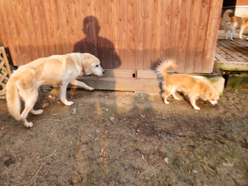 f:id:roukenhome-ann:20191029185312j:plain f:id:roukenhome-ann:20191029185312j:plain