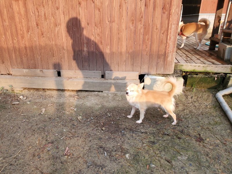 f:id:roukenhome-ann:20191029185349j:plain f:id:roukenhome-ann:20191029185349j:plain