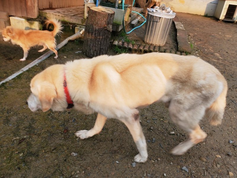 f:id:roukenhome-ann:20191029185402j:plain f:id:roukenhome-ann:20191029185402j:plain