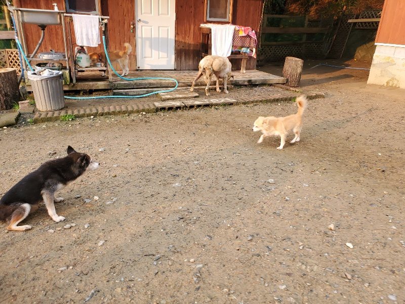 f:id:roukenhome-ann:20191029185425j:plain f:id:roukenhome-ann:20191029185425j:plain