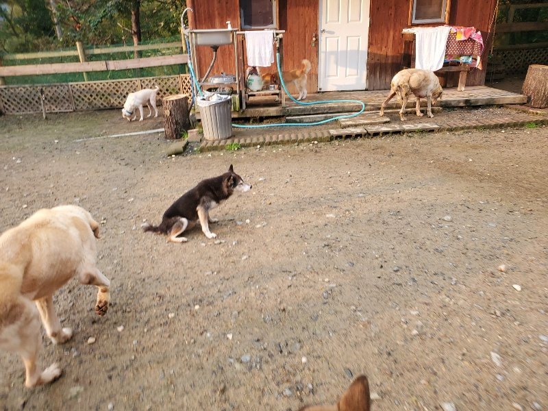 f:id:roukenhome-ann:20191029185438j:plain f:id:roukenhome-ann:20191029185438j:plain