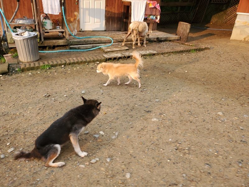 f:id:roukenhome-ann:20191029185445j:plain f:id:roukenhome-ann:20191029185445j:plain