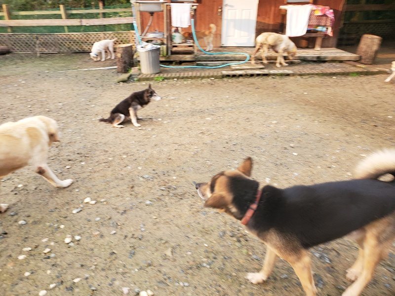 f:id:roukenhome-ann:20191029185454j:plain f:id:roukenhome-ann:20191029185454j:plain