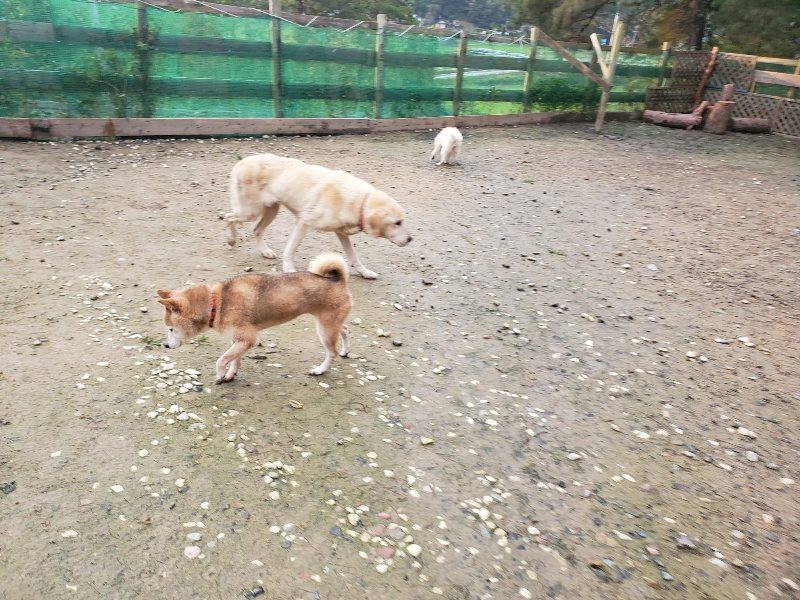 f:id:roukenhome-ann:20191029185509j:plain f:id:roukenhome-ann:20191029185509j:plain