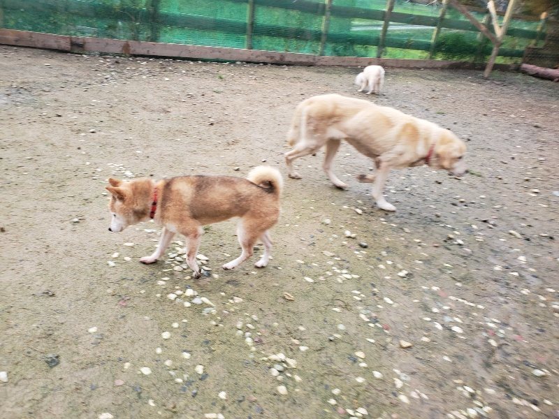 f:id:roukenhome-ann:20191029185521j:plain f:id:roukenhome-ann:20191029185521j:plain