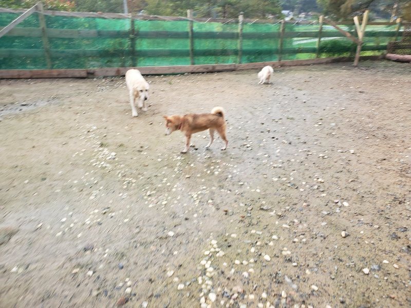 f:id:roukenhome-ann:20191029185531j:plain f:id:roukenhome-ann:20191029185531j:plain