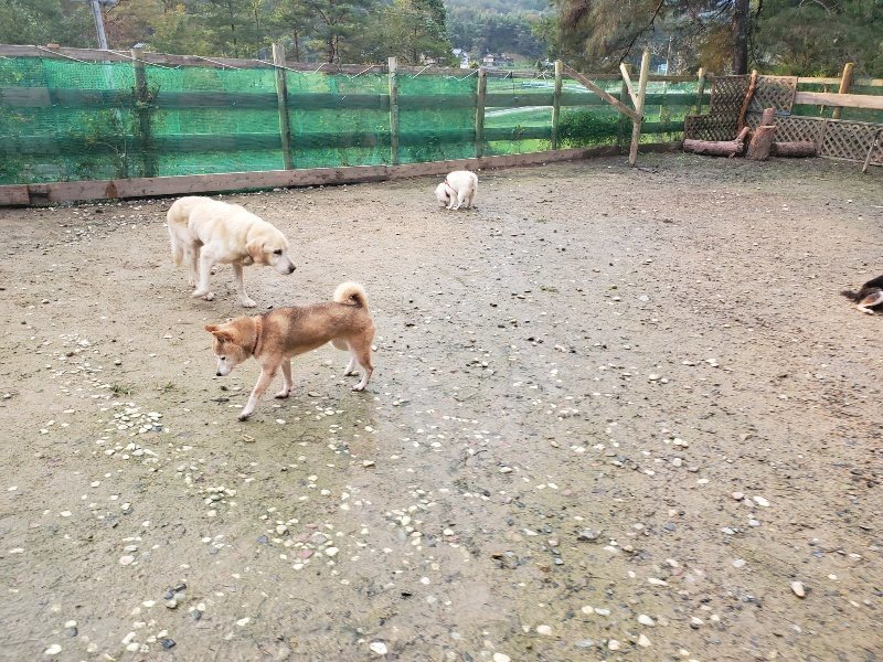 f:id:roukenhome-ann:20191029185550j:plain f:id:roukenhome-ann:20191029185550j:plain