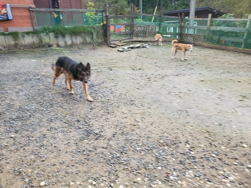 f:id:roukenhome-ann:20191029185603j:plain f:id:roukenhome-ann:20191029185603j:plain
