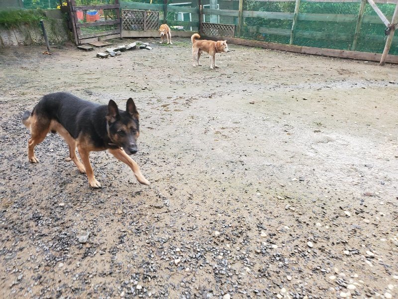 f:id:roukenhome-ann:20191029185617j:plain f:id:roukenhome-ann:20191029185617j:plain