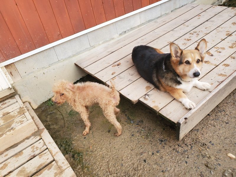 f:id:roukenhome-ann:20191029185637j:plain f:id:roukenhome-ann:20191029185637j:plain