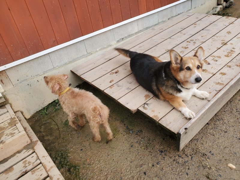 f:id:roukenhome-ann:20191029185702j:plain f:id:roukenhome-ann:20191029185702j:plain
