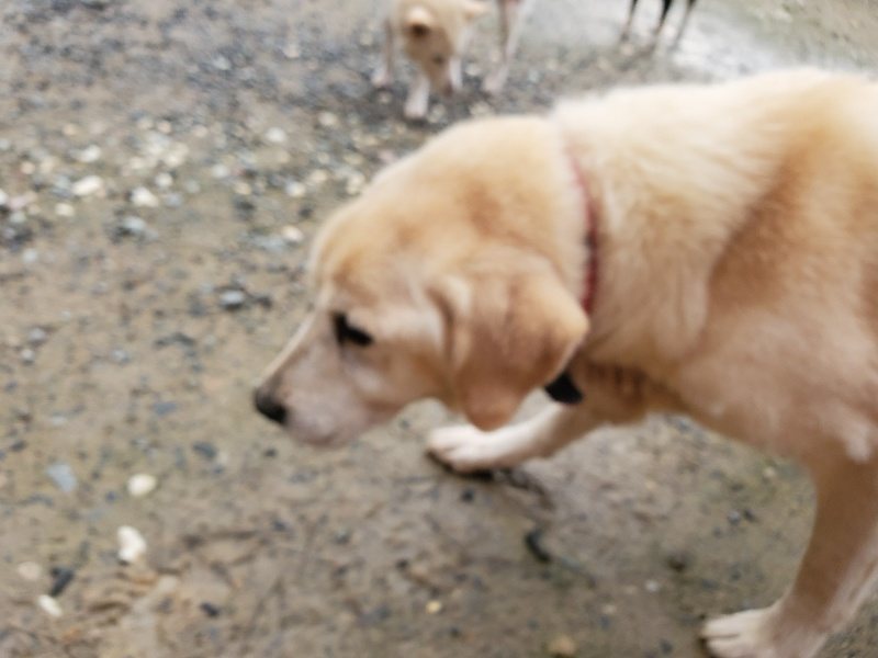 f:id:roukenhome-ann:20191029185816j:plain f:id:roukenhome-ann:20191029185816j:plain